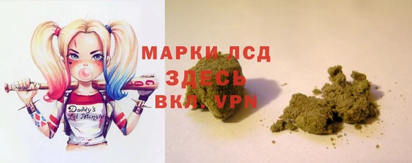 ГАЛЛЮЦИНОГЕННЫЕ ГРИБЫ Алексеевка
