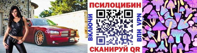 Галлюциногенные грибы ЛСД  Берёзовка 